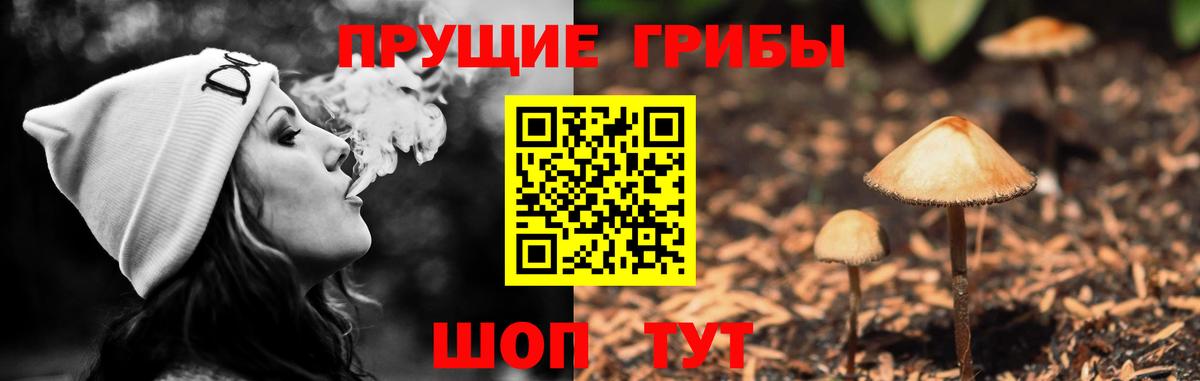Галлюциногенные грибы MAGIC MUSHROOMS  Галлюциногенные грибы Cubensis  купить наркоту  Вход с VPN  Когалым 